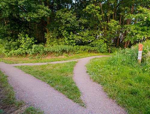 Wandelpaden in de buurt van het vakantiepark in Ootmarsum